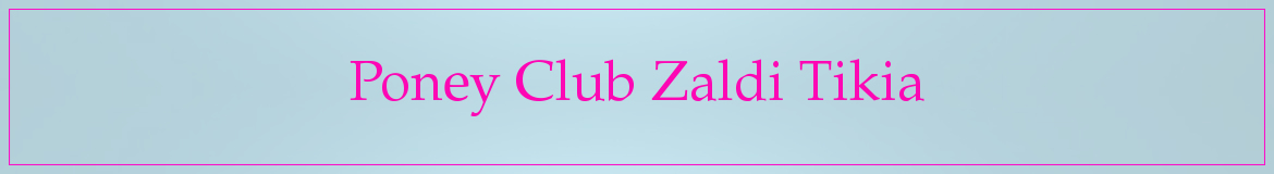 Poney Club Zaldi Tikia